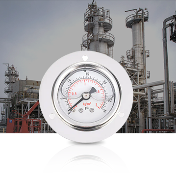 صناعة البتروكيماويات Pressure Gauges